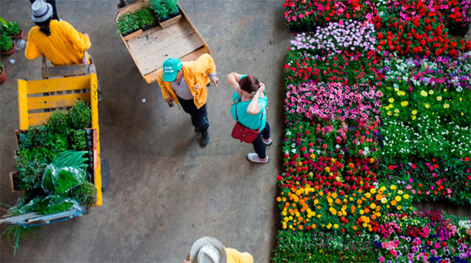 Flores CEAGESP: Feira de Flores, Horário, Preços